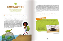 Load image into Gallery viewer, Wonder Of Creation, The