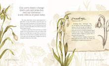 Load image into Gallery viewer, The Way of the Wildflower : Gospel Meditations to Unburden Y